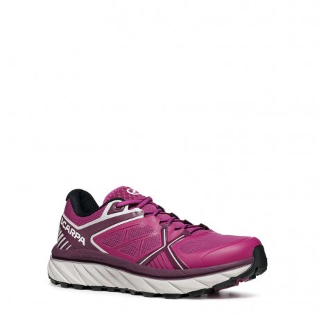 Spin Infinity WMN, Orchid-Purple, 37 